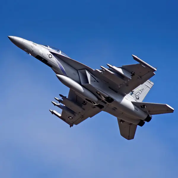 FMS 875mm F/A-18F 70mm EDF ARTF - Grey &mdash; image 29 of 30