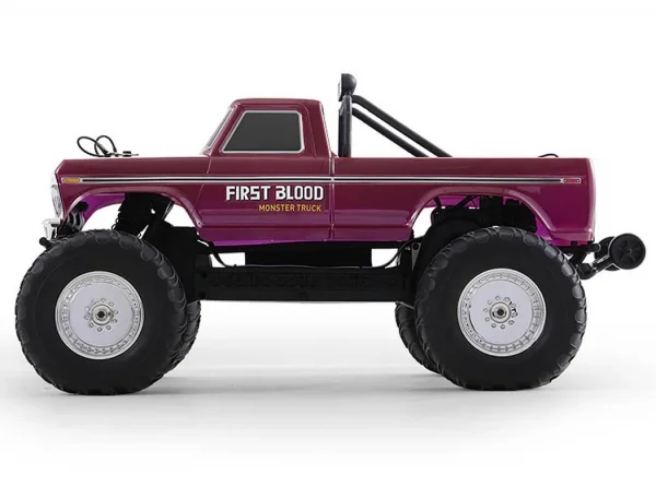 FMS Ford F100 RS