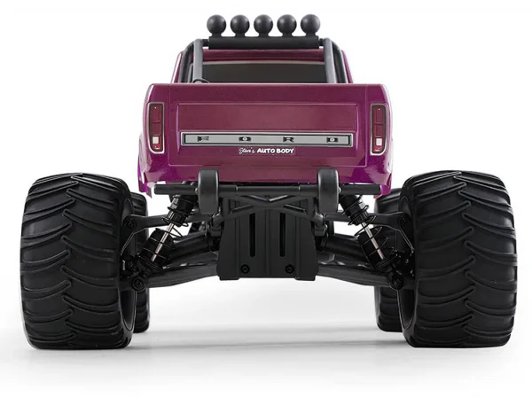 FMS Ford F100 RS