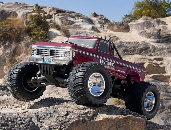 FMS Ford F100 RS