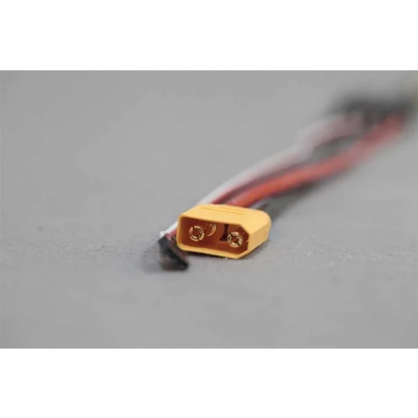 FMS 100A ESC With 300mm Input Cable (for 80mm F-4) — image 3 of 3