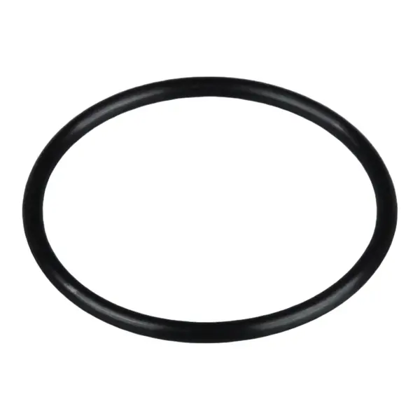 Force L001 Rear Crankcase Cover O-Ring — image 1 of 2