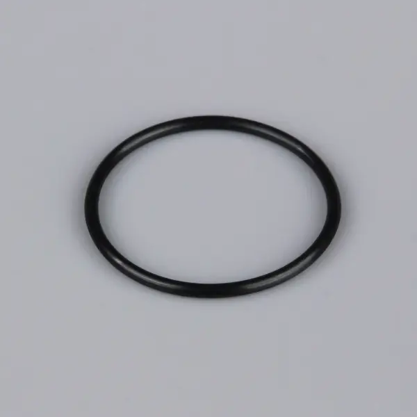 Force L001 Rear Crankcase Cover O-Ring &mdash; image 2 of 2