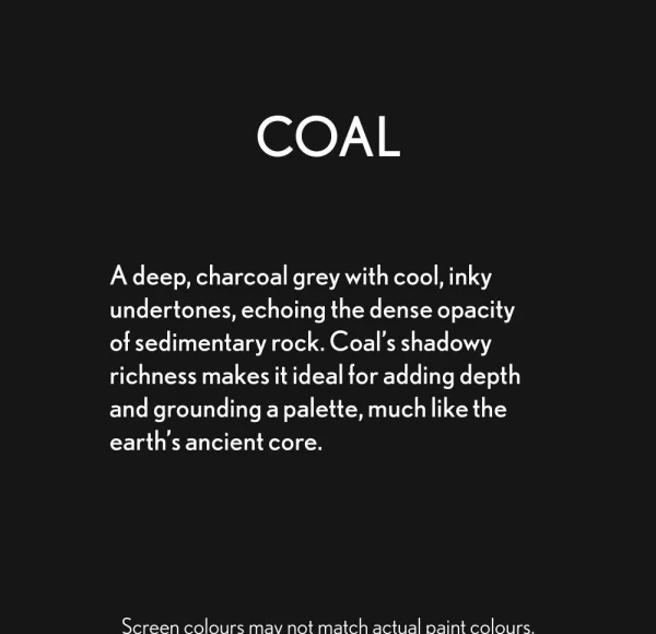 Guild Lane Bleo Gel Paint, Coal (100ml)