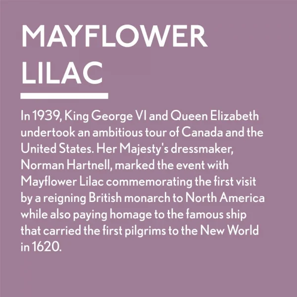 Guild Lane Jubilee Maker Paint, Mayflower Lilac (60ml)