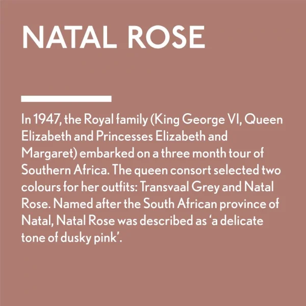 Guild Lane Jubilee Maker Paint, Natal Rose (500ml)