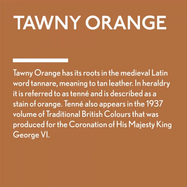 Guild Lane Jubilee Maker Paint, Tawny Orange (60ml)
