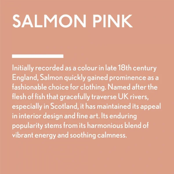 Guild Lane Jubilee Maker Paint (CC-22), Salmon Pink (60ml)