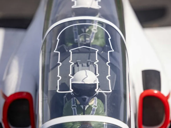 Hangar 9 Hawk/T-45 140-160N Turbine Jet ARF [COLLECTION SG14 1QN ONLY]