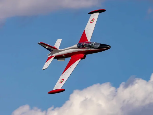 Hangar 9 Aermacchi MB-339 60-86N Scale Military Turbine Jet ARF [COLLECTION SG14 1QN ONLY]