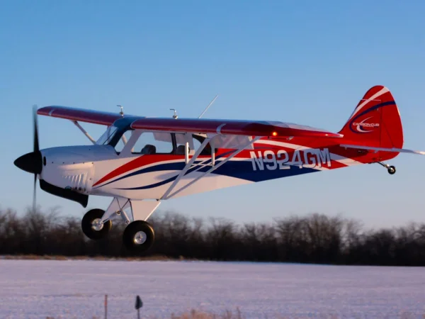 Hangar 9 Cubcrafters Carbon Cub FX-3 [COLLECTION SG14 1QN ONLY]