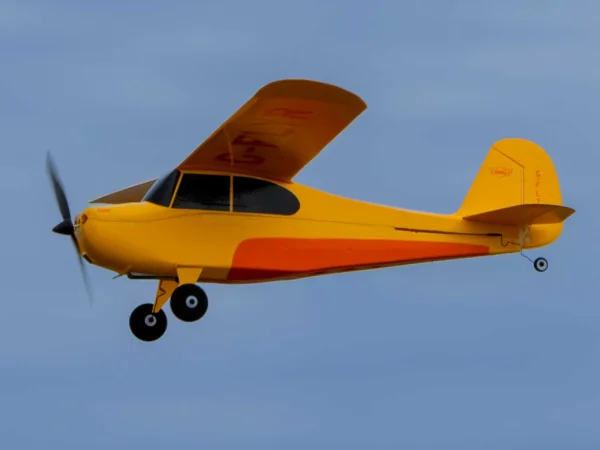 HobbyZone Champ Anniversary Special Edition - RTF