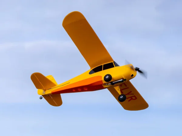HobbyZone Champ Anniversary Special Edition - RTF