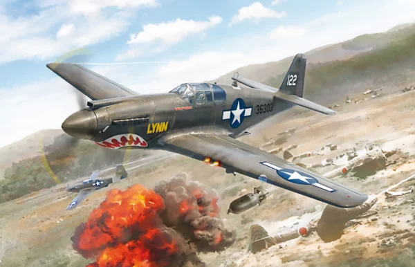 Italeri 1/72 P-51B — image 12 of 13