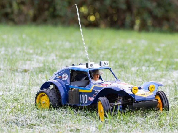 Tamiya Holiday Buggy (2010) (DT-02)