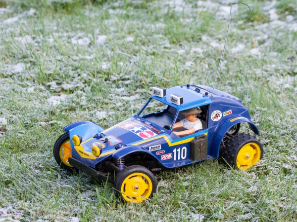 Tamiya Holiday Buggy (2010) (DT-02)