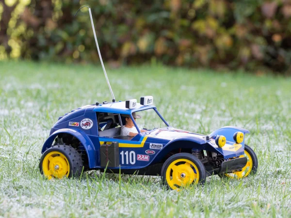 Tamiya Holiday Buggy (2010) (DT-02)