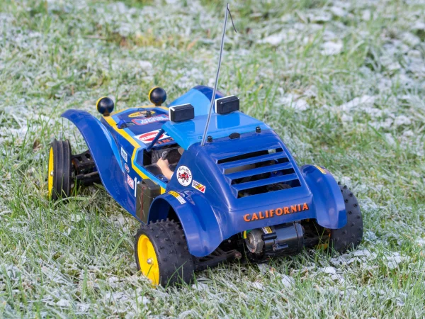 Tamiya Holiday Buggy (2010) (DT-02)