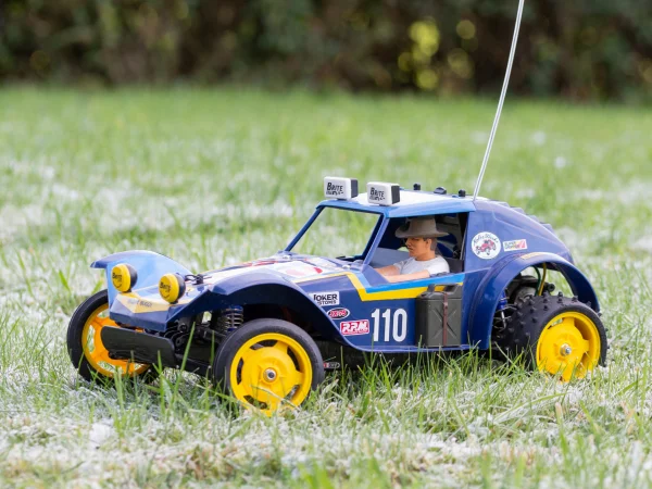 Tamiya Holiday Buggy (2010) (DT-02)