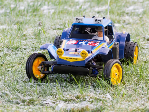 Tamiya Holiday Buggy (2010) (DT-02)