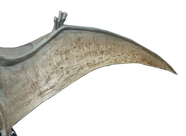 1/35 Pteranodon