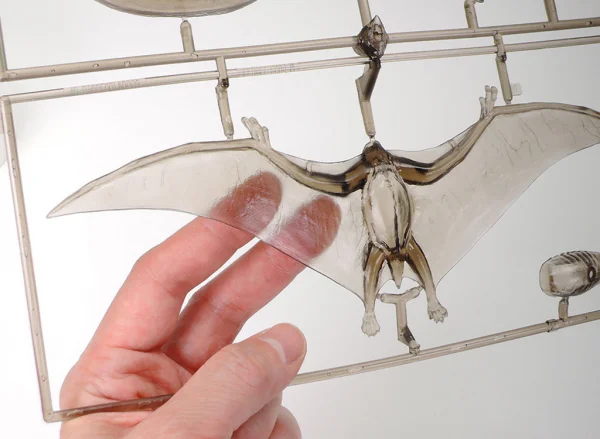 1/35 Pteranodon