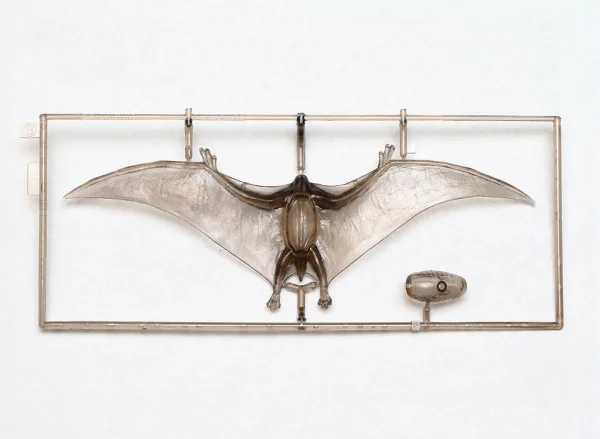 1/35 Pteranodon