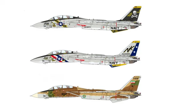 Tamiya 1/48 F-14A Tomcat