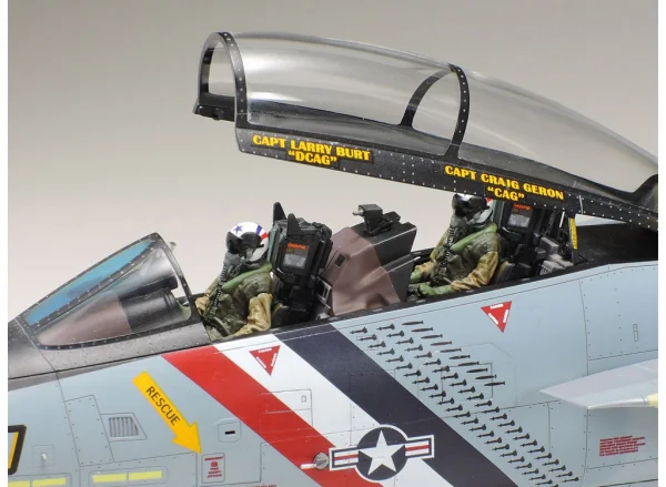 Tamiya 1/48 F-14D Tomcat