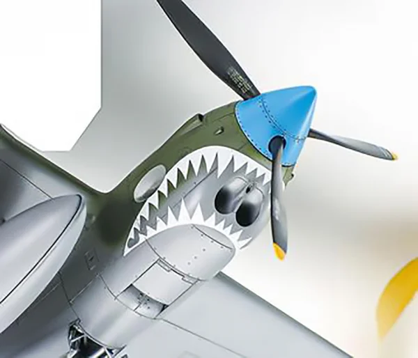Tamiya 1/48 P-38 F/G Lightning