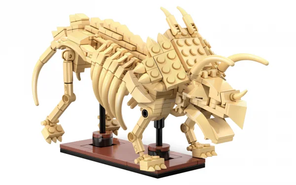 Dinosaur Fossils: Triceratops &mdash; image 3 of 8
