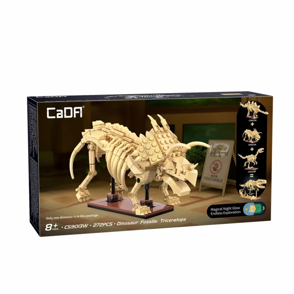 Dinosaur Fossils: Triceratops &mdash; image 4 of 8