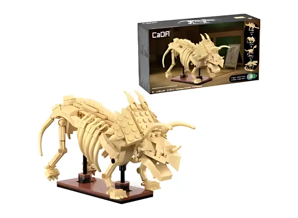 Dinosaur Fossils: Triceratops — image 1 of 8