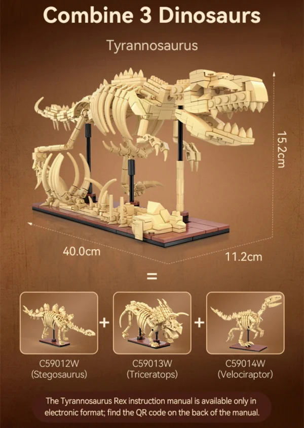 Dinosaur Fossils: Triceratops &mdash; image 8 of 8