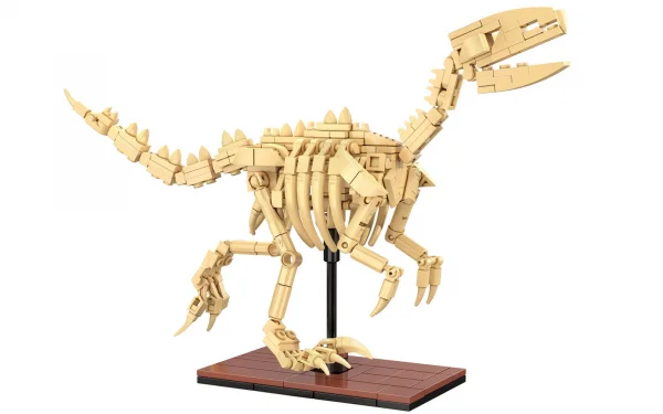 Dinosaur Fossils: Velociraptor &mdash; image 3 of 7