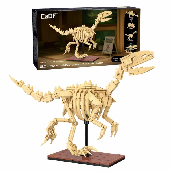 Dinosaur Fossils: Velociraptor &mdash; image 2 of 7