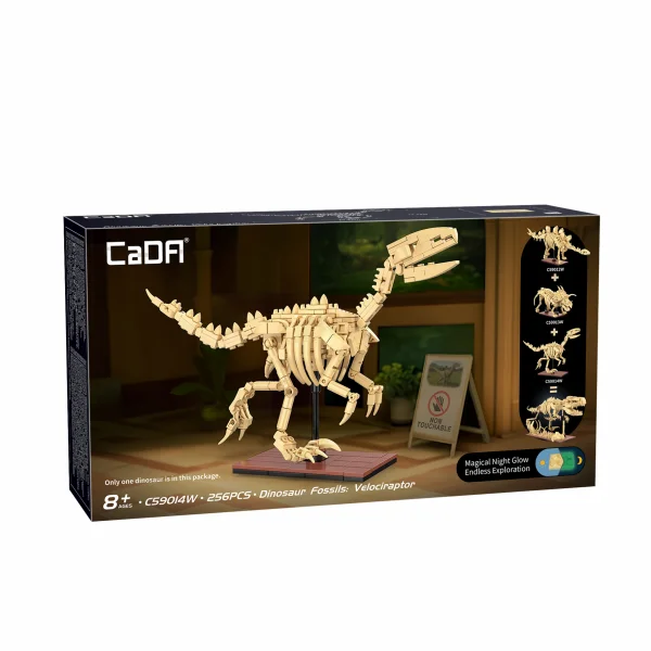 Dinosaur Fossils: Velociraptor &mdash; image 4 of 7