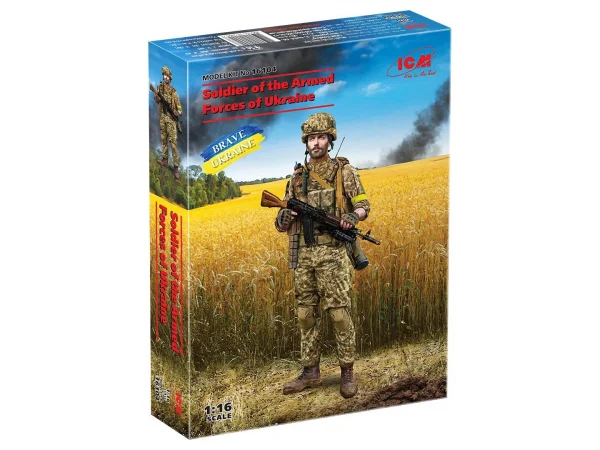 Soldier of the Armed Forces of Ukraine