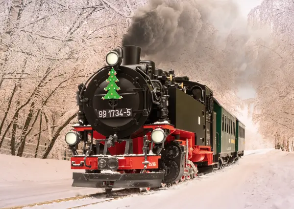 LGB DR Steam Loco Road Number 99 1734-5 SDG Era VI — image 3 of 3