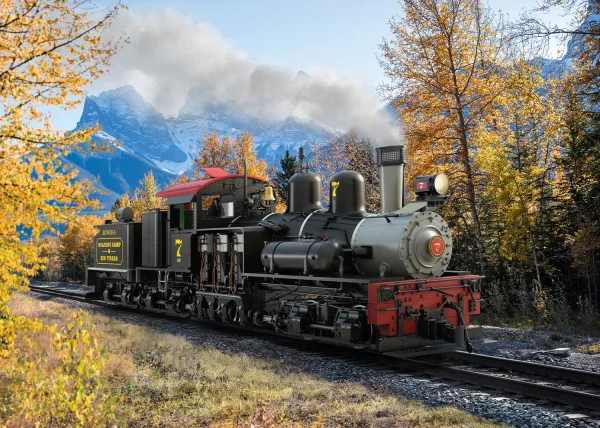 LGB RC & BT RR Steam Loco Shay Nr. 7 Ep. VI — image 7 of 7