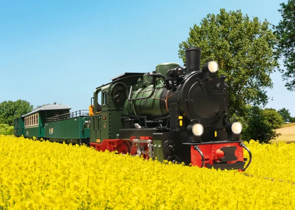 LGB RüBB Steam Loco 53 Mh Ep. VI