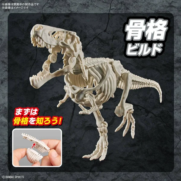 Plannosaurus Tyrannosaurus — image 3 of 11