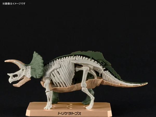 Plannosaurus Triceratops — image 7 of 10
