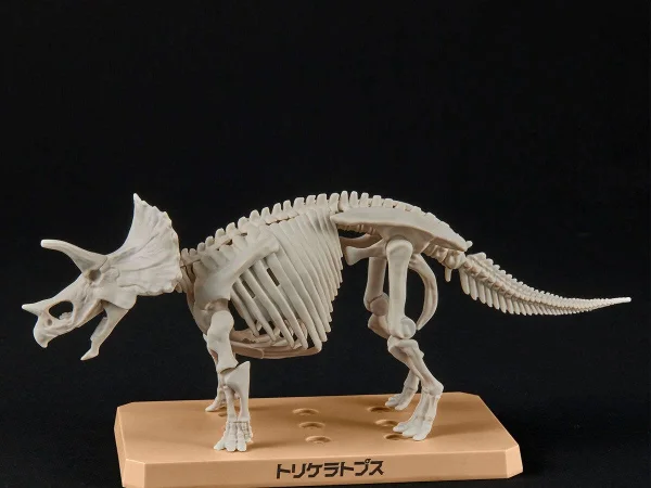 Plannosaurus Triceratops — image 6 of 10