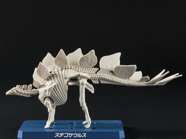 Plannosaurus Stegosaurus &mdash; image 6 of 12