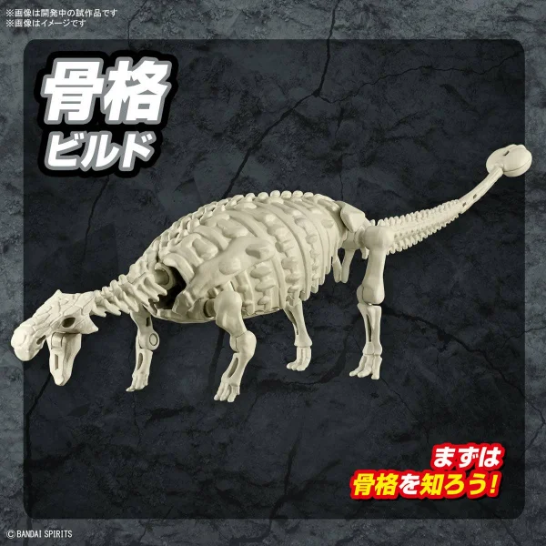 Plannosaurus Ankylosaurus &mdash; image 4 of 5