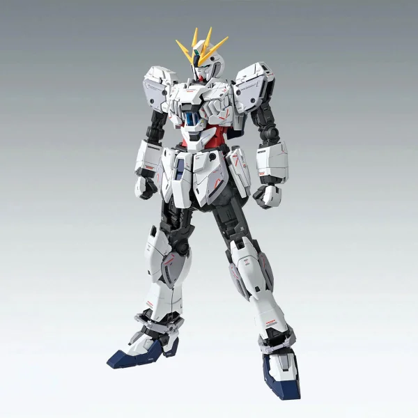 MG 1:100 Narrative Gundam C-Packs Version Ka