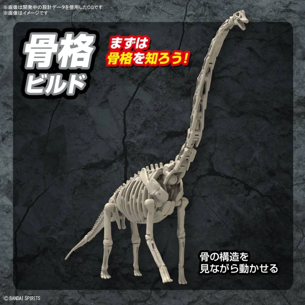 Plannosaurus Brachiosaurus — image 5 of 9