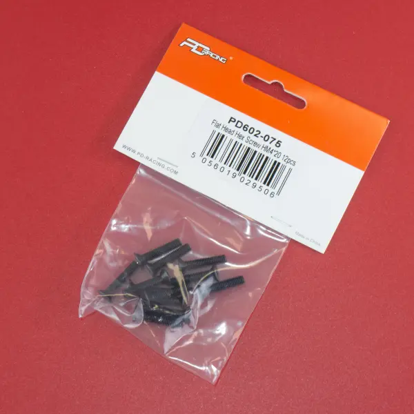 Flat Head Hex Screw HM4*20 12pcs