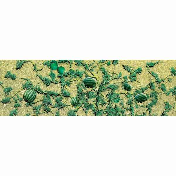 JTT 95576 Watermelon Patch, O-Scale, (4 per pack)
